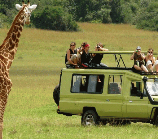 4 Days Tanzania Safari