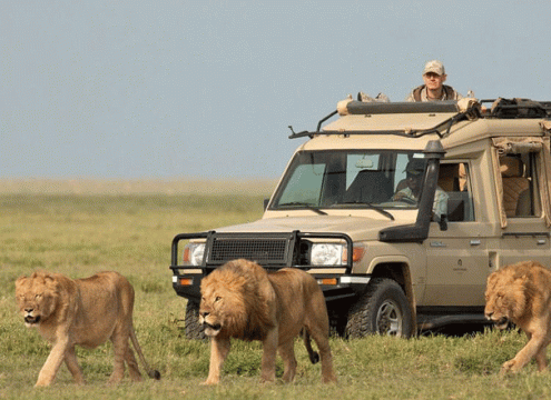 4 Days Mid-Range Serengeti Safari