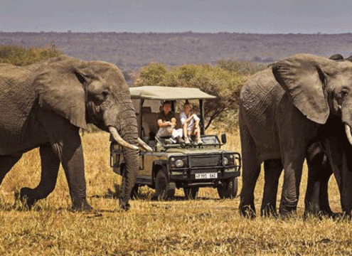 Serengeti 5 Days Fly-In Safari Big Five Adventure