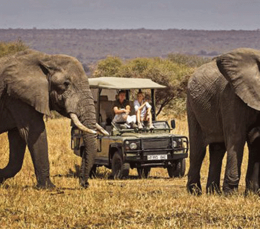 Serengeti 5 Days Fly-In Safari Big Five Adventure
