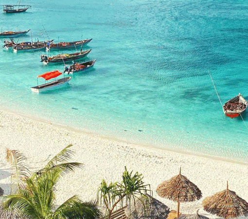 10-Day Luxury Tanzania Safari and Zanzibar Holiday