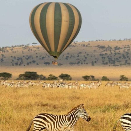 Take a Hot Air Balloon Safari Over the Serengeti