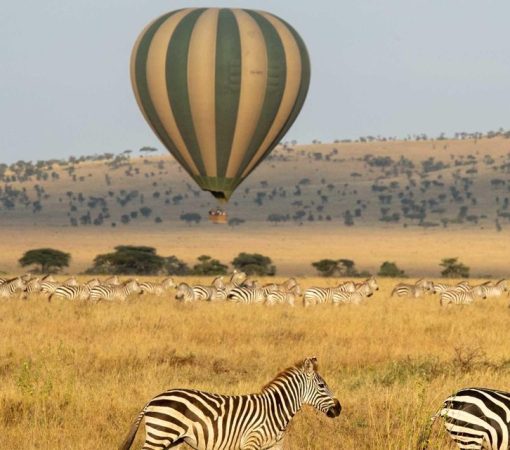 Take a Hot Air Balloon Safari Over the Serengeti