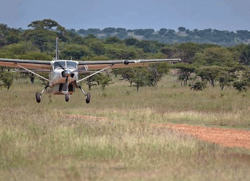 5 Days Fly-In Luxury Serengeti Safari