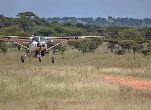 7 Days Tanzania Luxury Fly-In Safari