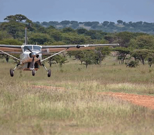 7 Days Tanzania Luxury Fly-In Safari