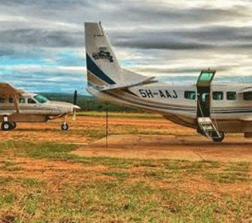 4-Day Serengeti Fly-in Fly-out Safari