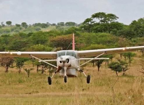 6 Days Tanzania Fly-In Safari Package