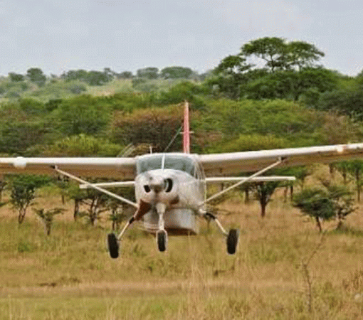 Booking Luxury vs Mid-Range vs Budget Serengeti Safaris