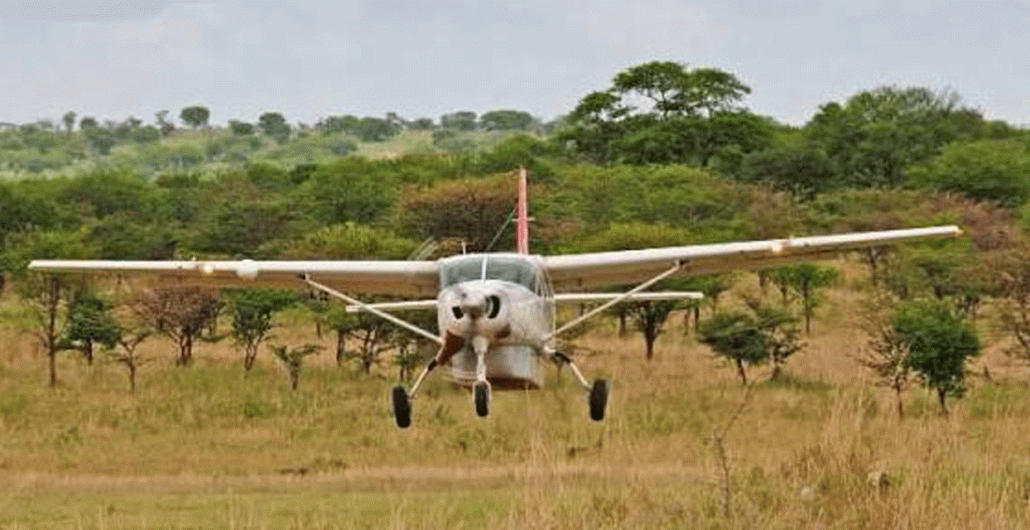 Booking Luxury vs Mid-Range vs Budget Serengeti Safaris