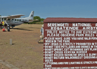 3 Days Serengeti Fly-in and Fly-Out Safari from Arusha