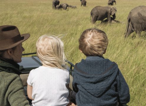7 Days Tanzania Family Serengeti Safari