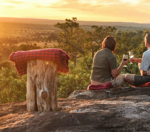7 Days Luxury Serengeti Honeymoon Safari