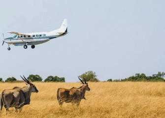 7 Days Tanzania Safari and Zanzibar Beach Holiday