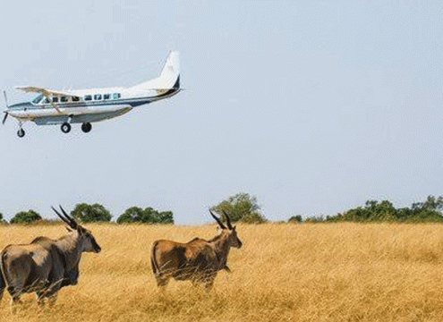 7 Days Tanzania Safari and Zanzibar Beach Holiday