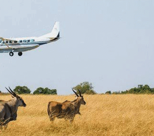 7 Days Tanzania Safari and Zanzibar Beach Holiday