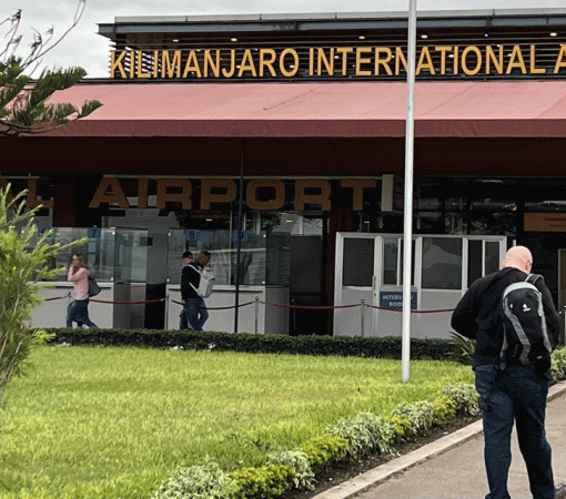 Best Serengeti Safari Tours Starting from Kilimanjaro Airport