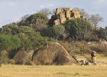 4 Days Great Migration Safari