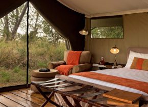 5 Days Serengeti and Ngorongoro Crater Safari