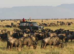 10 Day Serengeti Great Migration luxury safari