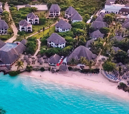 4 Days Tanzania Safari from Zanzibar