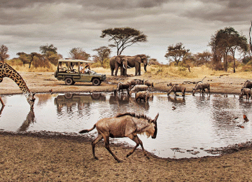 The Best Northern Circuit Safari from Arusha to Serengeti