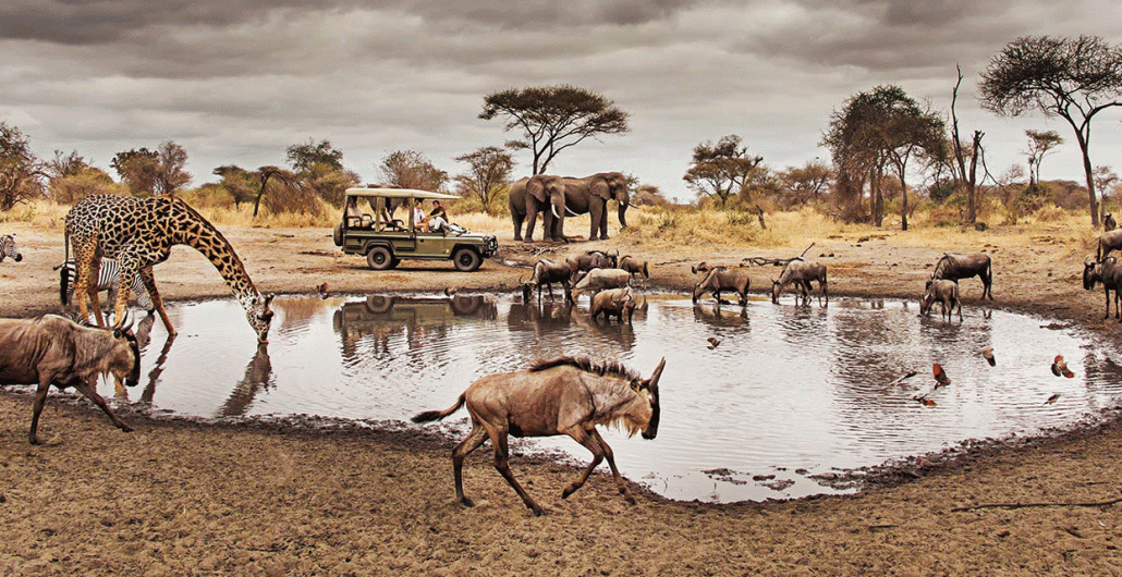 9-Day Serengeti Great Migration and Ngorongoro Crater Safari