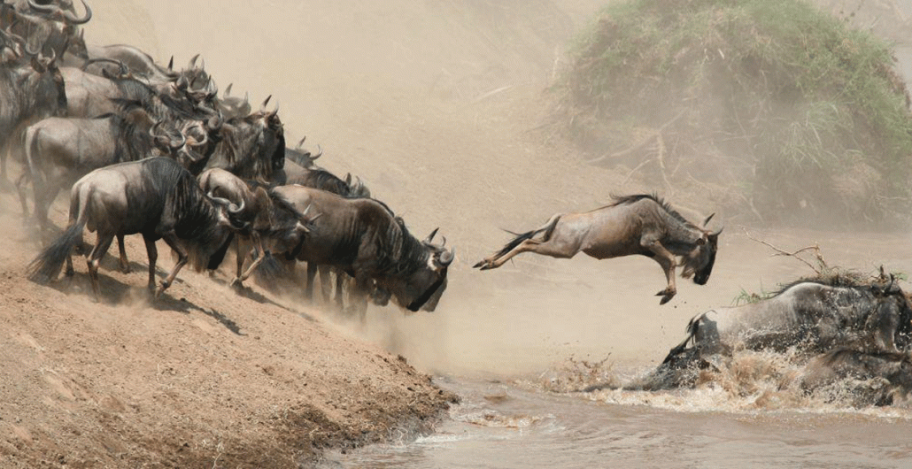 3 Days Serengeti Great Migration Safari from Arusha