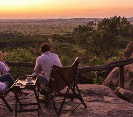 Romantic Serengeti Safari Honeymoon Travel Guide