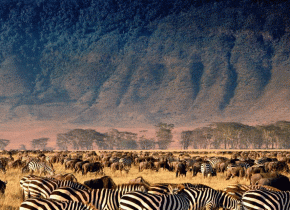 3 Days Serengeti safari and Ngorongoro Crater Tour